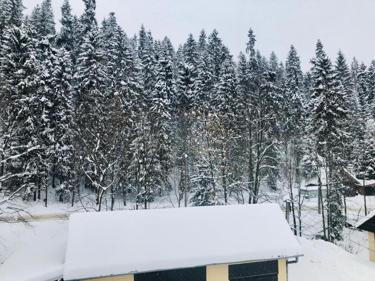 U Sobali Villa Groń Dış mekan fotoğraf