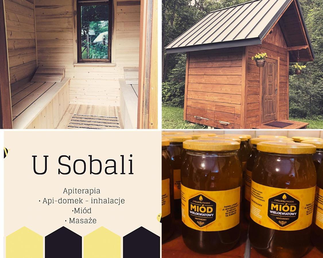 U Sobali Villa Groń Dış mekan fotoğraf